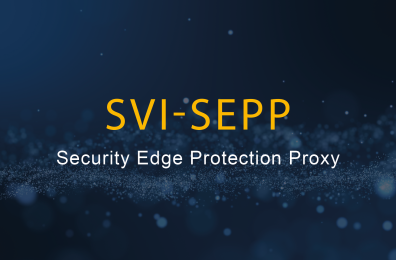 SVI-SEPP_Graphic