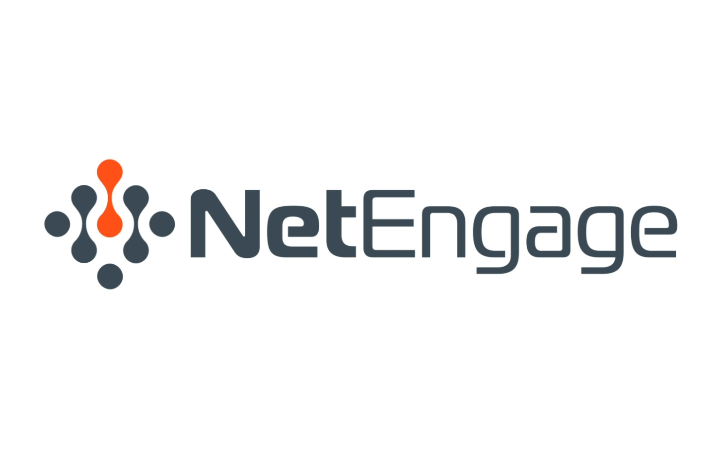 Netengage logo for carousel