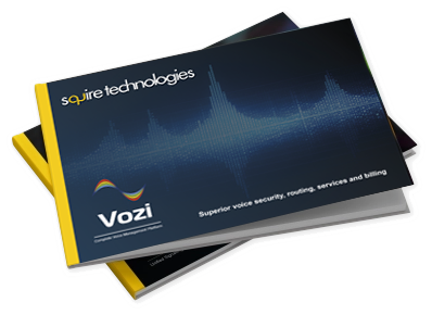 Vozi Voice Platform presentation web graphic