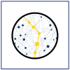 Routing Icon